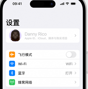 乐安appleID维修服务iPhone设置中Apple ID显示为灰色无法使用 