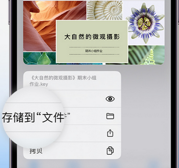 乐安apple维修中心分享iPhone文件应用中存储和找到下载文件