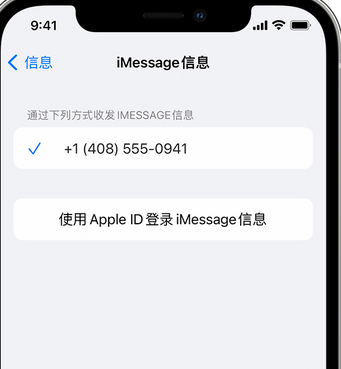 乐安apple维修iPhone上无法正常发送iMessage信息 