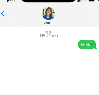 乐安apple维修iPhone上无法正常发送iMessage信息