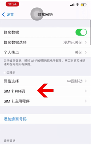 乐安苹果14维修网分享如何给iPhone14的SIM卡设置密码 