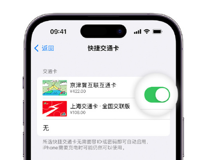 乐安apple维修点分享iPhone上更换Apple Pay快捷交通卡手绘卡面 