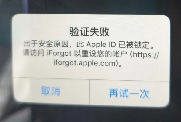 乐安iPhone维修分享iPhone上正常登录或使用AppleID怎么办 