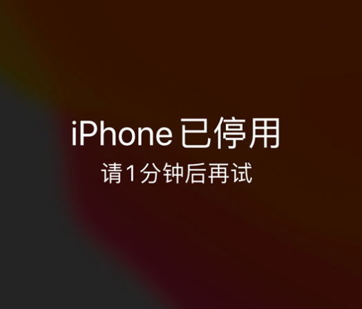 乐安苹果手机维修分享:iPhone 显示“不可用”或“已停用”怎么办？还能保留数据吗？ 