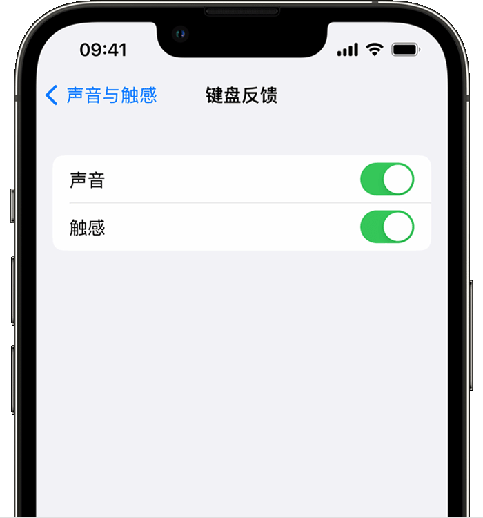 乐安苹果14维修店分享如何在 iPhone 14 机型中使用触感键盘 