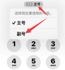 乐安苹果14维修店分享iPhone 14 Pro Max使用副卡打电话的方法 