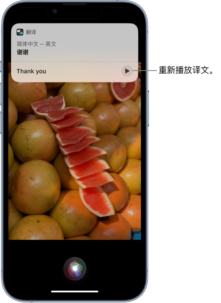 乐安苹果14维修分享 iPhone 14 机型中使用 Siri：了解 Siri 能帮你做什么 