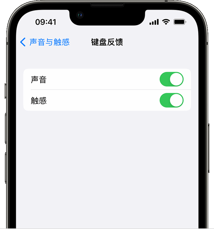 乐安苹果14维修分享iPhone 14 系列机型如何开启键盘声音或触感反馈 