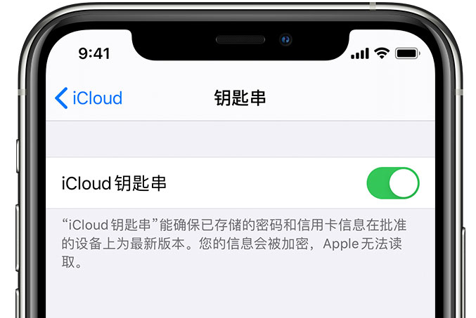 乐安苹果手机维修分享在 iPhone 上开启 iCloud 钥匙串之后会储存哪些信息 