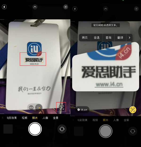 乐安苹果手机维修分享升级iOS 16后如何通过相机翻译文本 