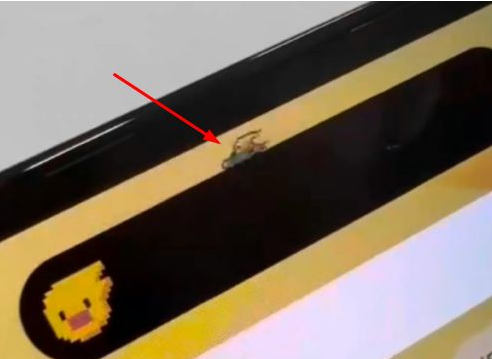 乐安苹果14维修分享iPhone 14 Pro Max灵动岛怎么养宠物 