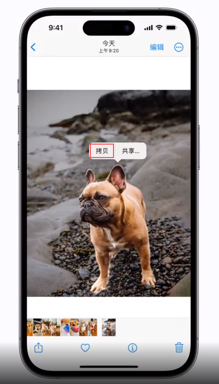 乐安苹果手机维修分享 iOS 16 自带一键抠图功能 