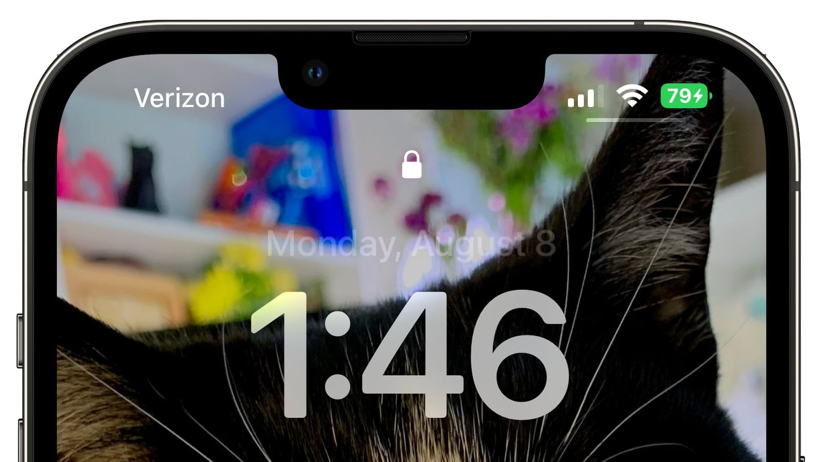 乐安苹果手机维修分享iOS 16 beta 5 支持状态栏显示电池百分比，如何开启？支持哪些机型 