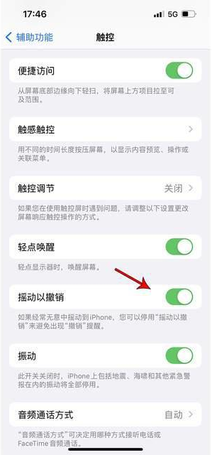 乐安苹果手机维修分享iPhone手机如何设置摇一摇删除文字 