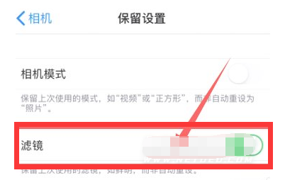 乐安苹果13维修分享iPhone13拍照有绿点是怎么回事 