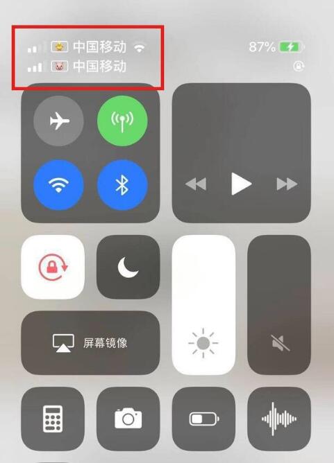 乐安苹果手机维修分享为 iPhone 12 双卡设置标签 